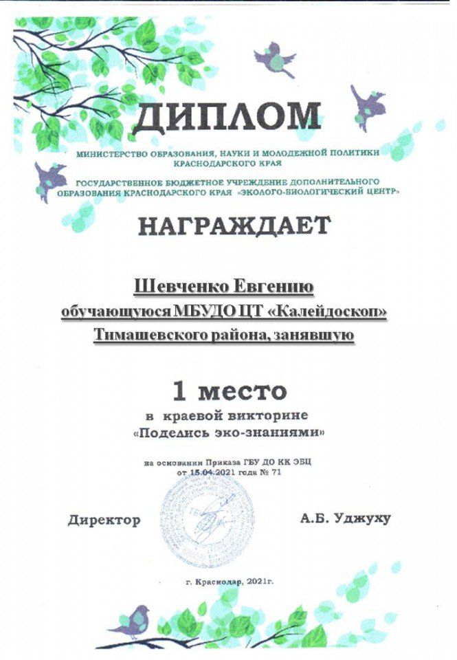 Шевченко Евгения, викторина, 2021