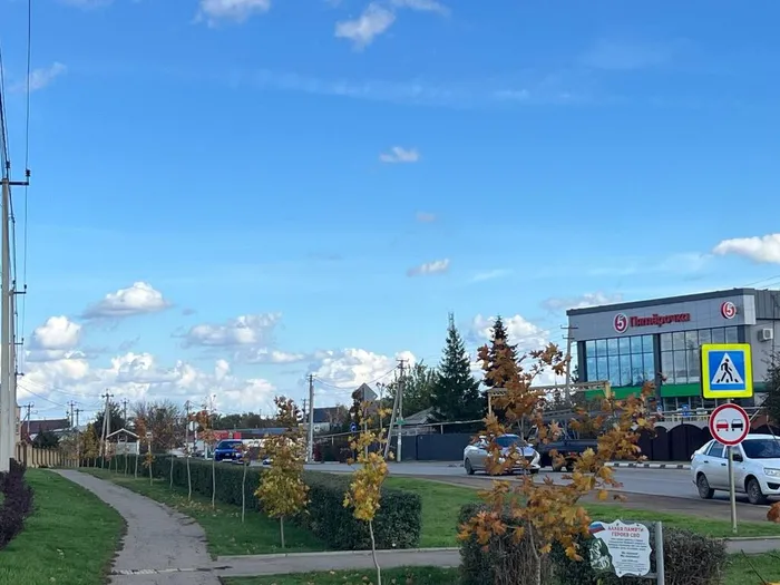 photo_5202204963651058140_y