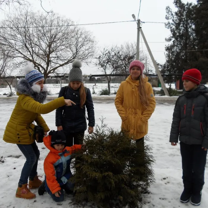 29 декабря в объединении «Юный цветовод»