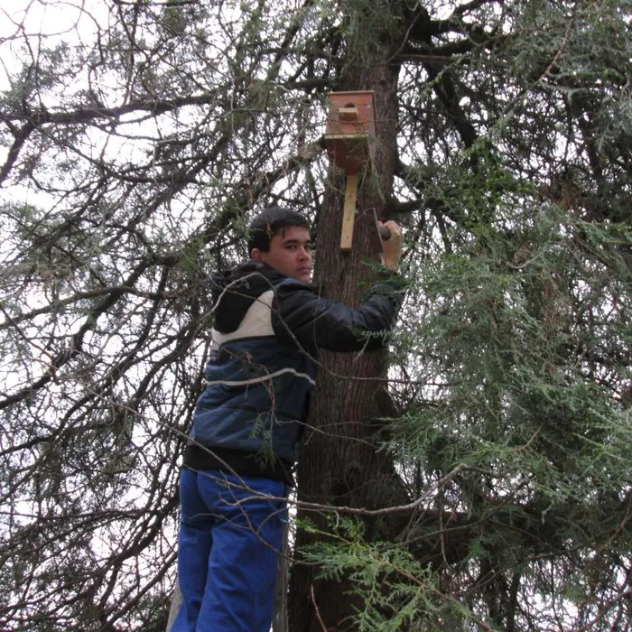 Прилетайте, птицы, мы вас ждём!