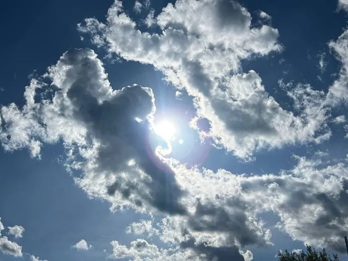 photo_5201706871998777054_y