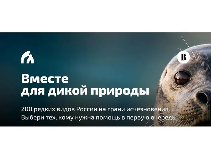 Без имени