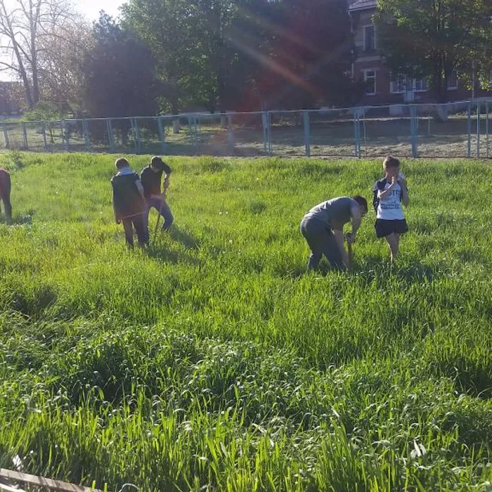 Всемирный День Земли снова озеленил станицу!