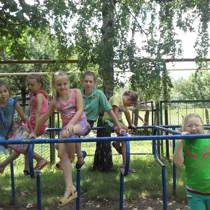 «Мир фантастических деревьев»