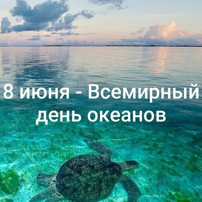 8 июня — Всемирный день океанов
