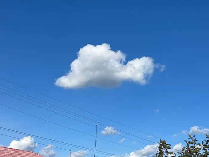 photo_5201706871998777055_y