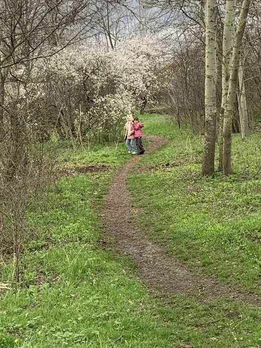 PUsn9mpPGi3Y4lE8fdtS_1U-yD4la64aE-1FZ2U3-6jNtgLIEuAj9ybvx9lDwo39HXFrcGLD4iMWe30fcpzPHPze