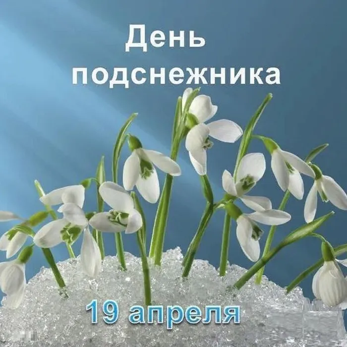 19 апреля – День подснежника