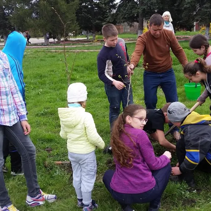 Аллея в честь героя СССР Кулика Григория Карповича  в станице Медведовской