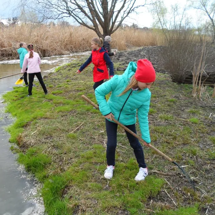 Акция чистоты и озеленение.