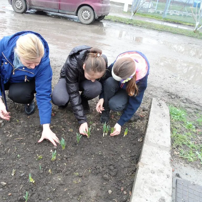 Маленький субботник для маленьких!