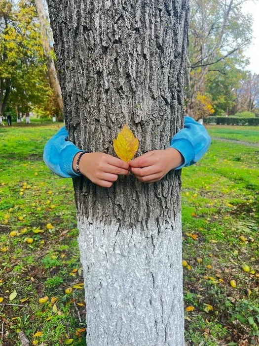 bh55Hh3AS3AtlnRMejQsMhl1Zv5xWQfB-jKvtmpKqwkFKumcLQOYiG4Y16kDPCM6zD7kOfritLEDCBZD0EQomALT