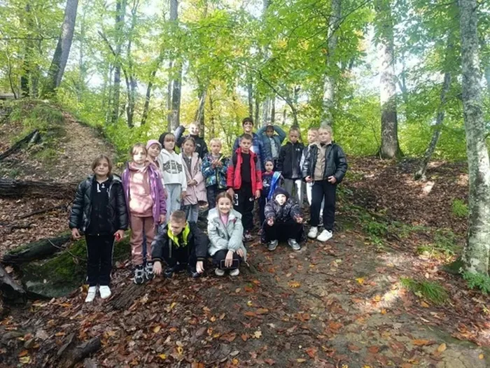 3Omgshasu7IxSD84CwAkKijcUUWmJF0cNupDSoy3X9vOt18VcrwT3fpt2DtvdjUwr5lwGRg1JrXKDBbYDeM2Cg4_