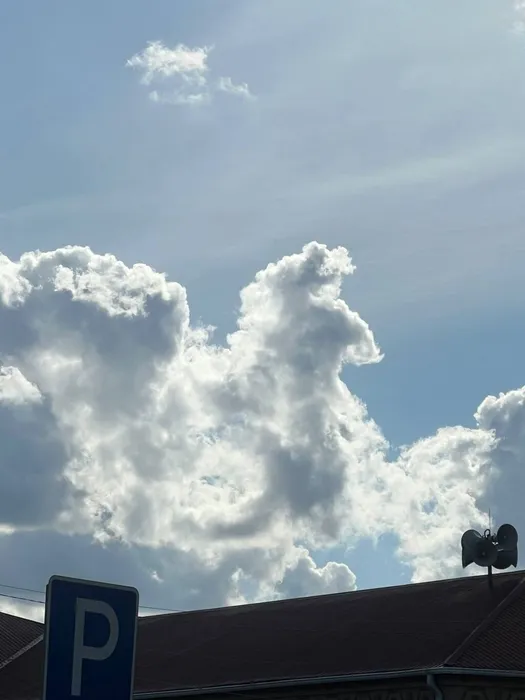 photo_5201706871998777052_y